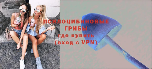 МДПВ Белокуриха