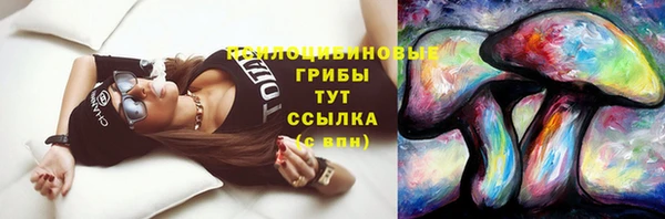 МДПВ Белокуриха