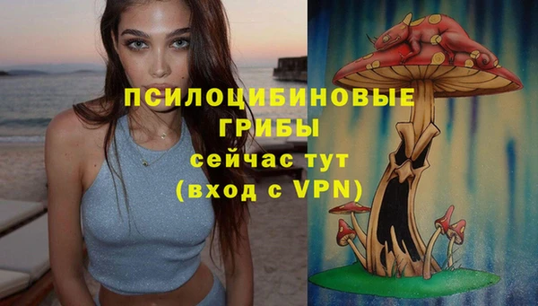 синтетический гашиш Беломорск